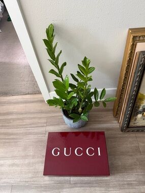 Gucci Maroon Shoe Box
